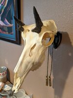 PXL_20210625_185721983.jpg