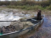 canoe.jpg