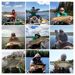 IMG_3990-COLLAGE.jpg