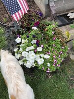 3770B69F-FD6D-4852-80DA-D2F0007C3190.jpeg