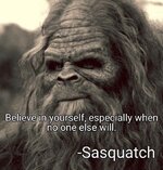 95e2eb43f16243cb45f02886ca6ab69d.jpg