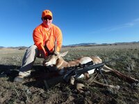 Pronghorn10052019 (11).JPG