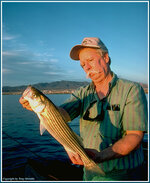 LkHavasuStriper.jpg