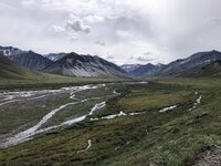 IMG_4598 (2).jpg