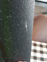 IMG_20210629_183947238.jpg