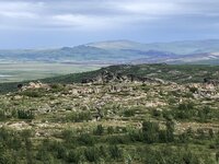 IMG_4530.jpg