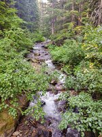 IMG_20210703_082309519.jpg
