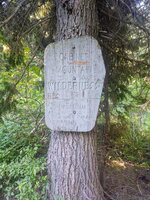 IMG_20210703_092114514.jpg