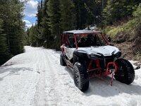 snow trail spring 2021.jpg