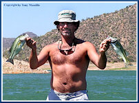 Mike Remlinger.jpg