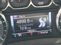 E16979B9-3466-49C9-86B6-531E41F12F07.jpeg