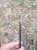 IMG_20200910_161855850.jpg