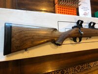 kimber 2.jpg