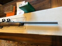 kimber 4.jpg