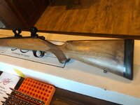 kimber 5.jpg