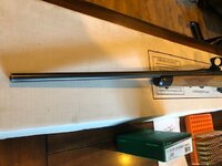 kimber 6.jpg