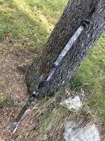 3F767E2E-33B6-4AE0-88F1-39D67FF1002F.jpeg
