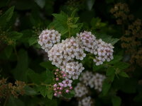 DC80A092-DFF1-4188-BA16-7CC3A8B1FDA8.jpeg