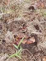 20180817_104423.jpg