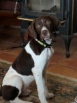 Trapper 2-19-2017.jpg
