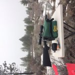 IMG_0010.jpg IMG_0010.jpg