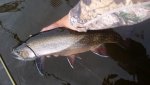 20160723_181327.jpg