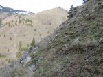 IMG_3298.jpg
