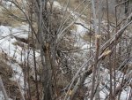 IMG_3308.jpg