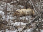 IMG_3307.jpg
