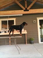 62272F05-C245-4731-B207-7006F28AC7F0.jpeg