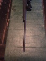 IMG_0267.jpg