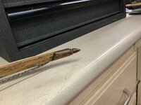 IMG_0121(1).JPEG