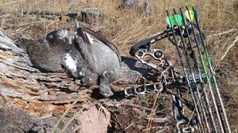 20171006_113506.jpg 20171006_113506.jpg