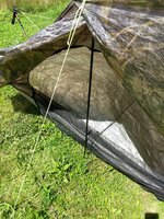 PXL_20210722_165559336.jpg