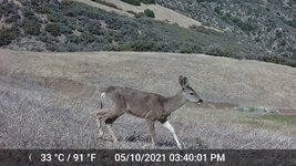 051021 hillside 340pm.jpg