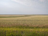 IMG_20210722_183002638.jpg