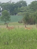 IMG_2904.jpg