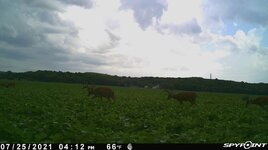D5447161-BCBD-43E7-A49E-4D52FAFCEF7E.jpg