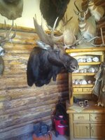 IMG_20200715_161401130.jpg IMG_20200715_161401130.jpg