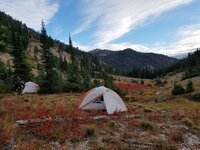 20181008_184017.jpg 20181008_184017.jpg