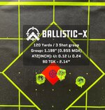 Ballistic-X-Export-2021-08-02 12:17:31.649514.jpg