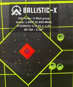 Ballistic-X-Export-2021-08-02 12:16:02.103486.jpg