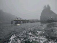 trin21-4.jpg