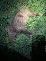 FB_IMG_1615654611332.jpg