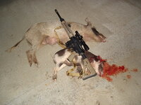Black Rifle 002.jpg
