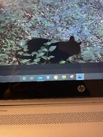 30AAB050-0690-442A-B2C1-4829964E6B13.jpeg