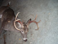 PC031615.JPG