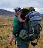 Sheep Pack Out (2).jpg