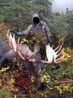 Moose 2016 - Copy.jpg