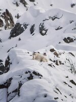 IMG_20201031_150809.jpg